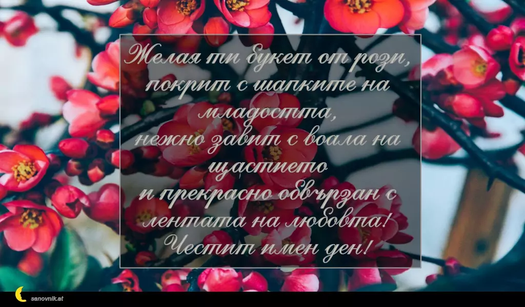sanovnik.at - Картички за Петковден Желая ти букет от рози,
покрит с шапките на младостта,
нежно завит с воала на щастието
и прекрасно обвързан с лентата на любовта!
Честит имен ден!