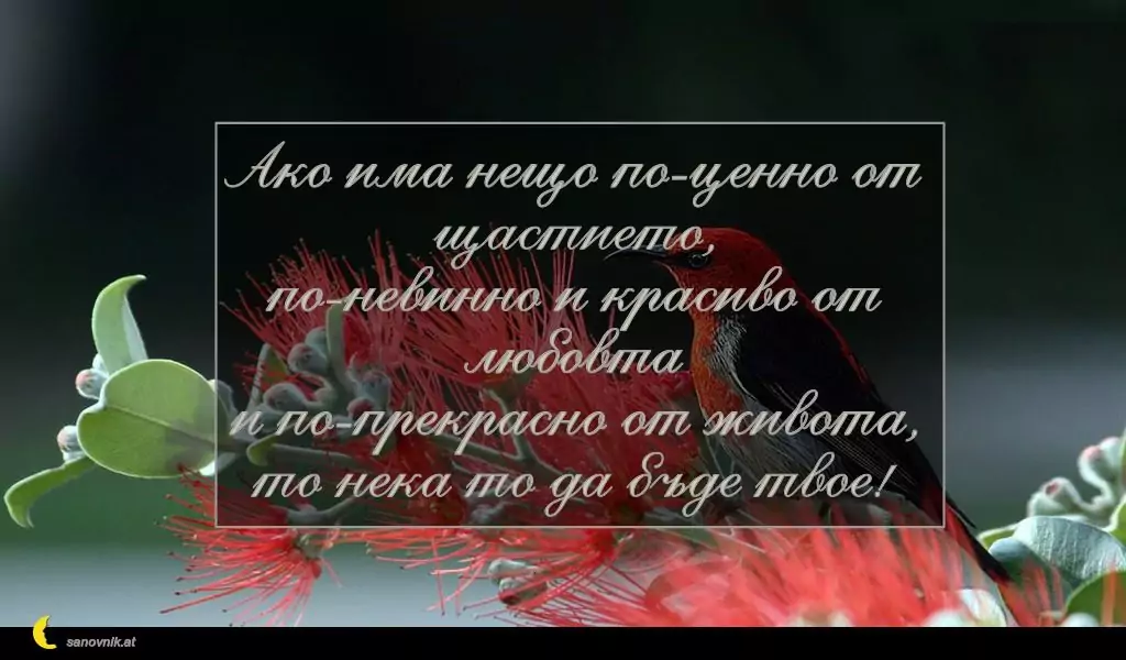 Пожелание за Петковден 76