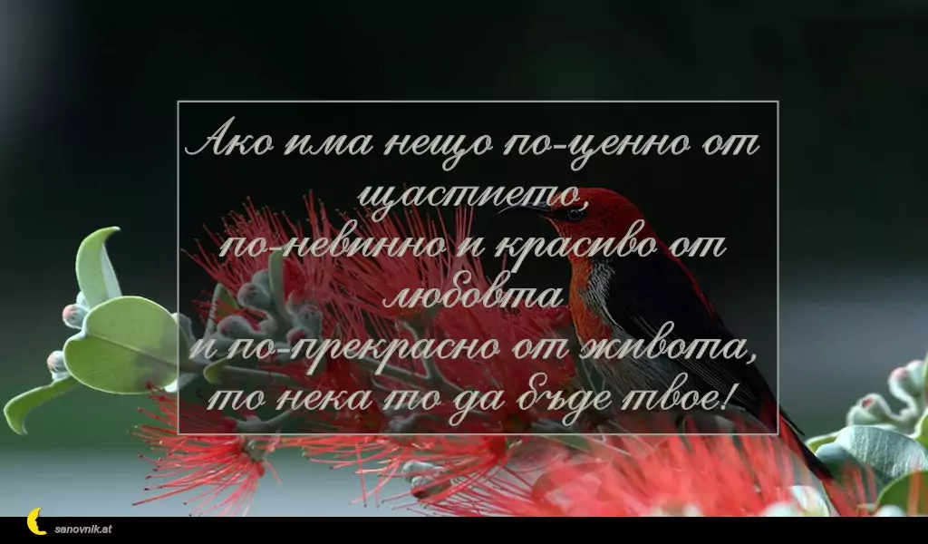 sanovnik.at - Картички за Петковден Ако има нещо по-ценно от щастието,
по-невинно и красиво от любовта
и по-прекрасно от живота,
то нека то да бъде твое!