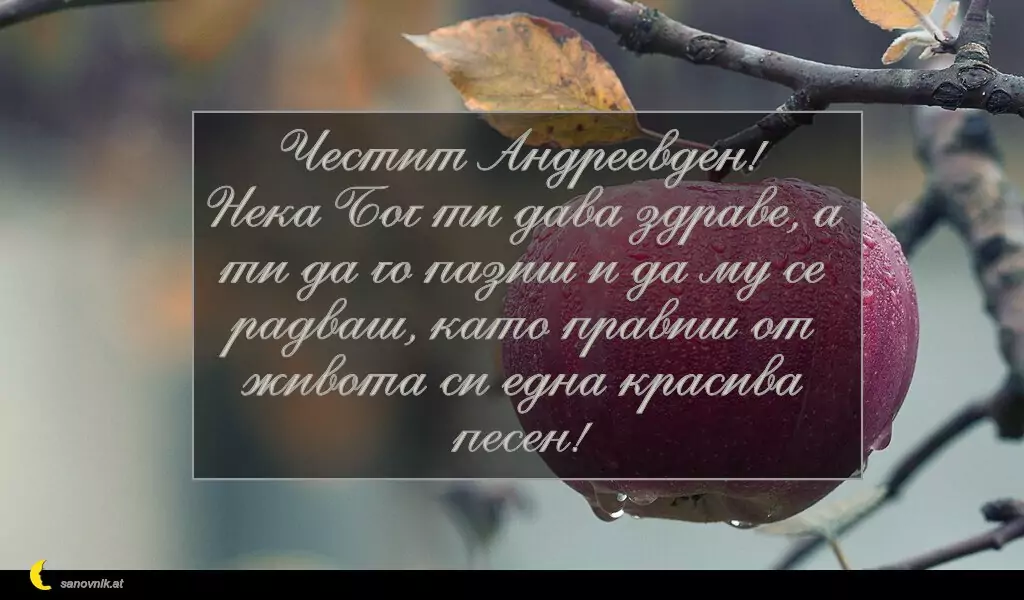 Пожелание за Андреевден 2
