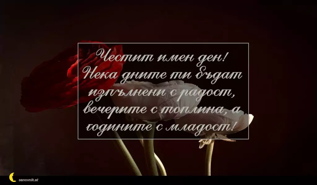 Пожелание за св. Данаил 14