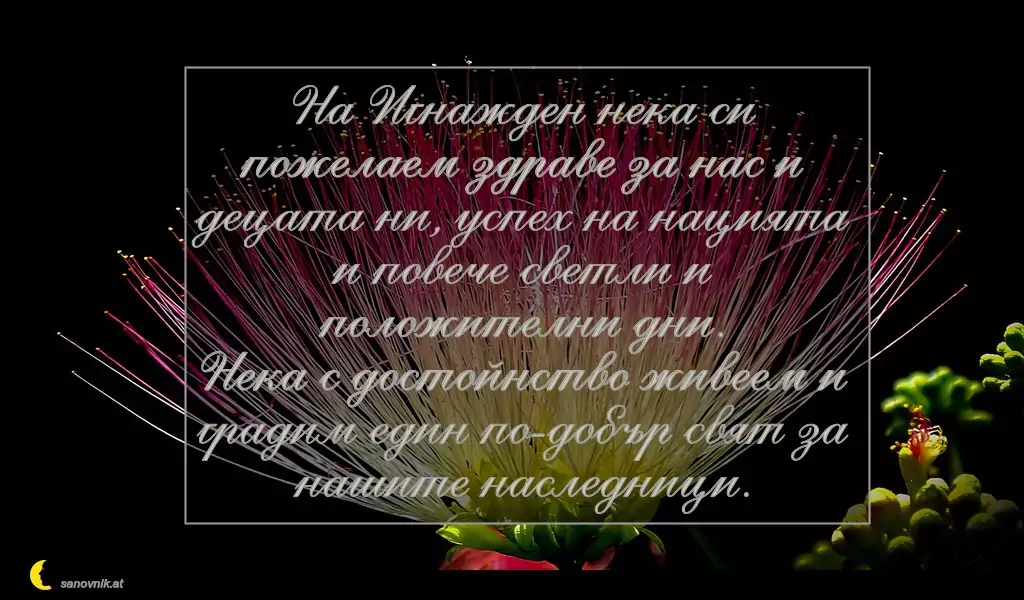 Пожелание за Игнажден 2