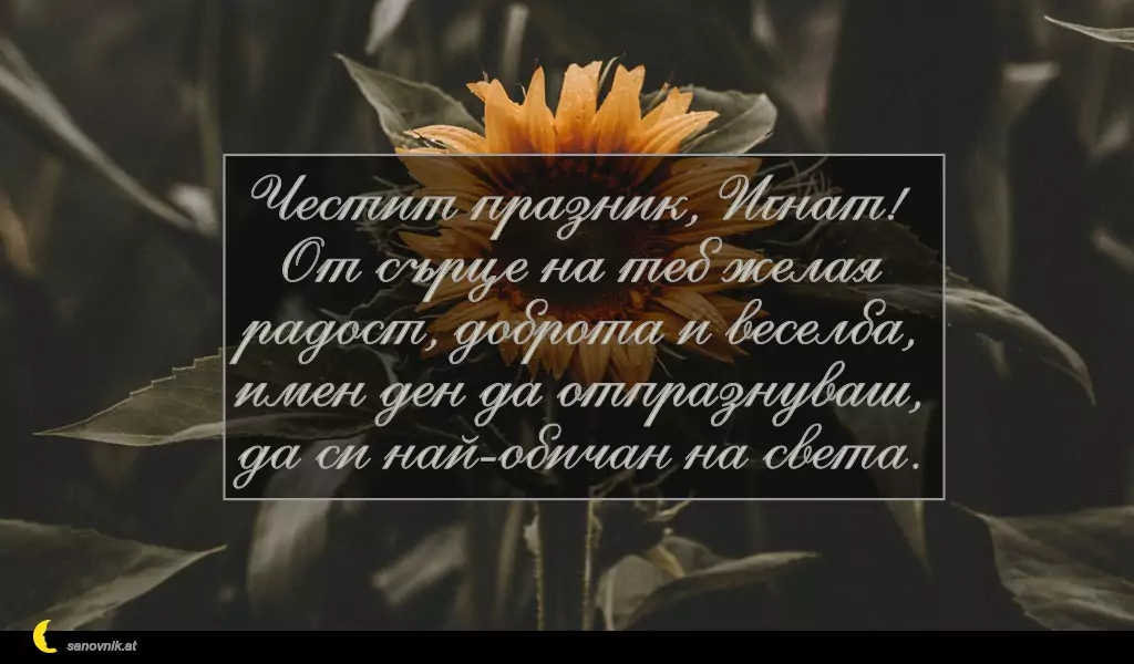 Пожелание за Игнажден 3