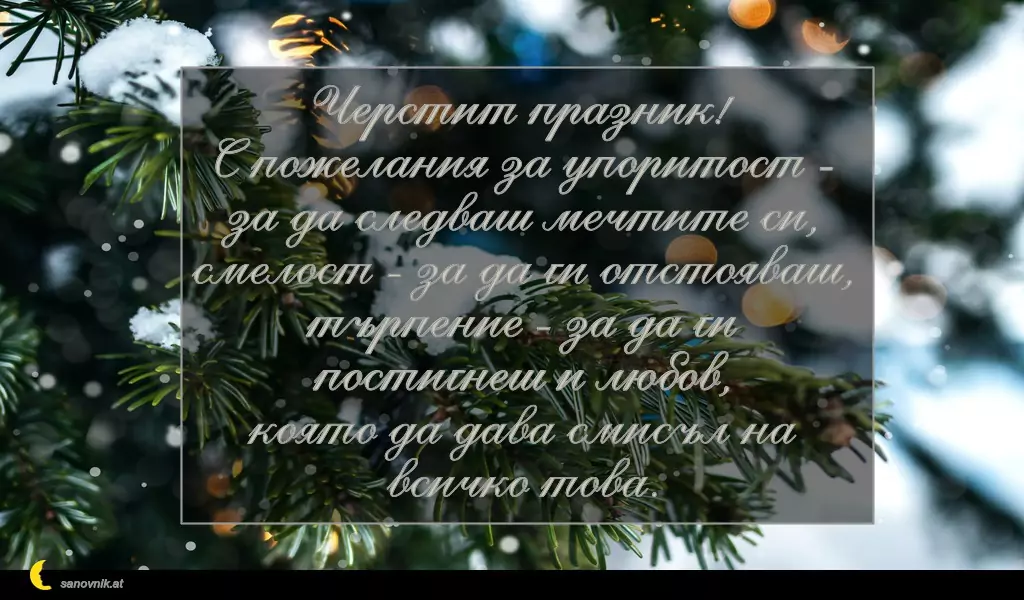 Пожелание за Коледа (имен ден) 24