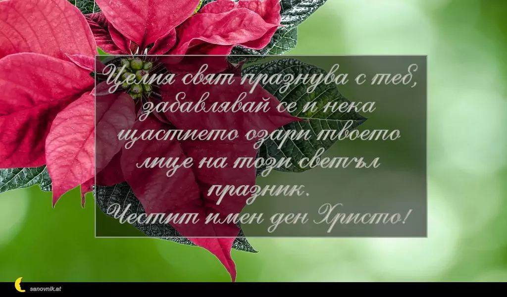 Пожелание за Коледа (имен ден) 3