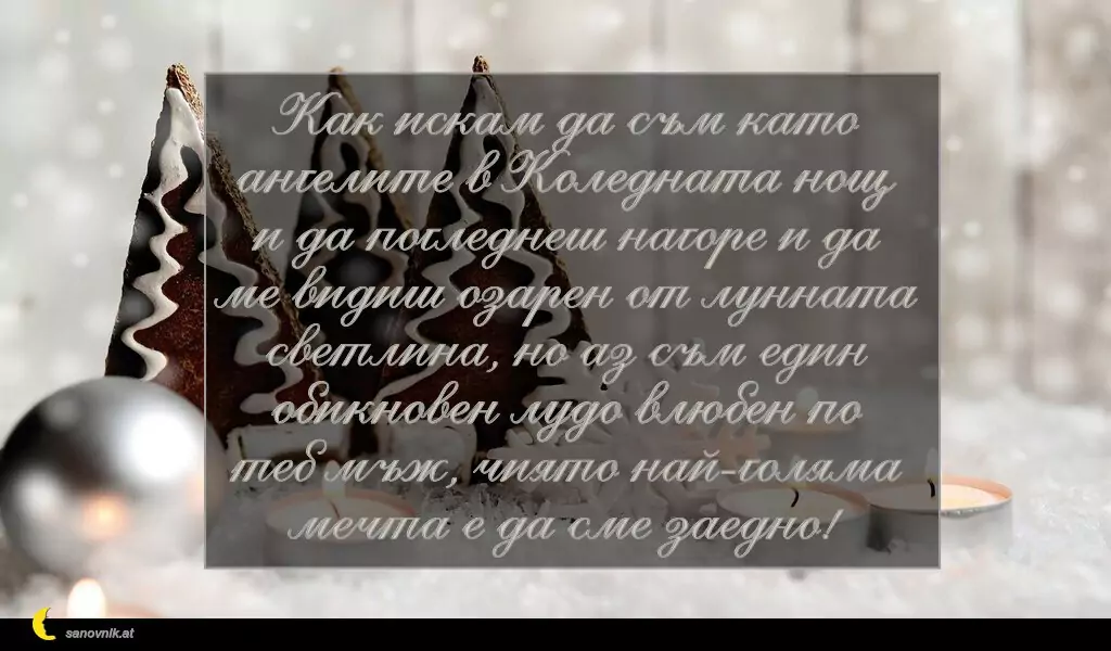 sanovnik.at - Картички за Коледа Как искам да съм като ангелите в Коледната нощ
и да погледнеш нагоре и да ме видиш озарен от лунната светлина, но аз съм един обикновен лудо влюбен по теб мъж, чиято най-голяма мечта е да сме заедно!