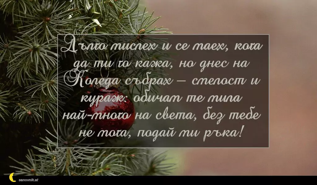 sanovnik.at - Картички за Коледа Дълго мислех и се маех, кога да ти го кажа, но днес на Коледа събрах – смелост и кураж: обичам те мила най-много на света, без тебе не мога, подай ми ръка!