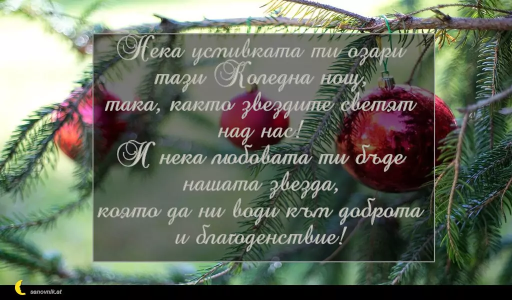 sanovnik.at - Картички за Коледа Нека усмивката ти озари тази Коледна нощ,
така, както звездите светят над нас!
И нека любовата ти бъде нашата звезда,
която да ни води към доброта и благоденствие!