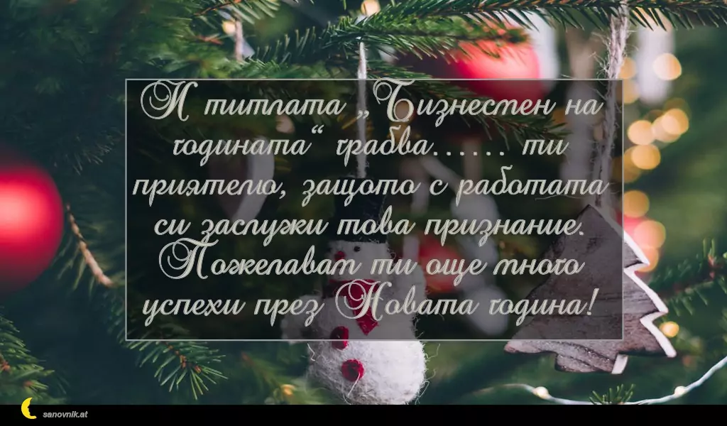 sanovnik.at - Картички за Коледа И титлата „Бизнесмен на годината“ грабва…… ти приятелю, защото с работата си заслужи това признание. Пожелавам ти още много успехи през Новата година!