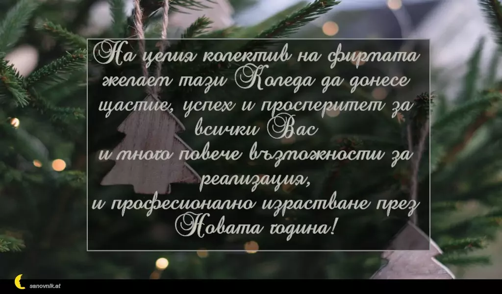 sanovnik.at - Картички за Коледа На целия колектив на фирмата
желаем тази Коледа да донесе
щастие, успех и просперитет за всички Вас
и много повече възможности за реализация,
и професионално израстване през Новата година!