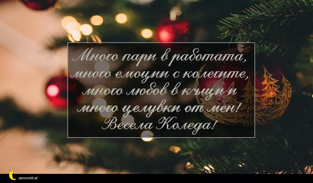 sanovnik.at - Картички за Коледа Много пари в работата,
много емоции с колегите,
много любов в къщи и
много целувки от мен!
Весела Коледа!