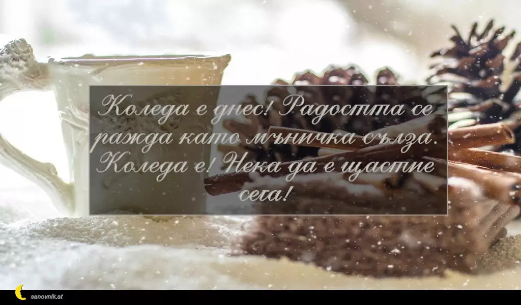 sanovnik.at - Картички за Коледа Коледа е днес! Радостта се ражда като мъничка сълза.
Коледа е! Нека да е щастие сега!