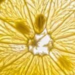 Лимоните унищожават микробите