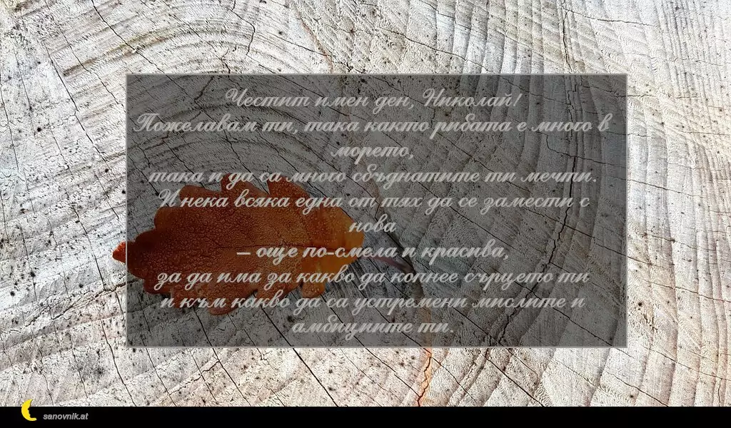 Пожелание за Никулден 1