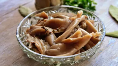 Мариновани гъби кладница