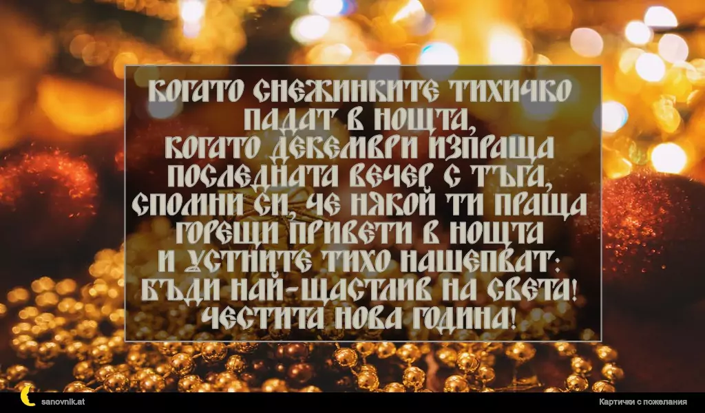 Когато снежинките тихичко падат в нощта,
когато декември изпраща последната вечер с тъга,
спомни си, че някой ти праща горещи привети в нощта
и устните тихо нашепват: Бъди най-щастлив на света!
Честита нова година!