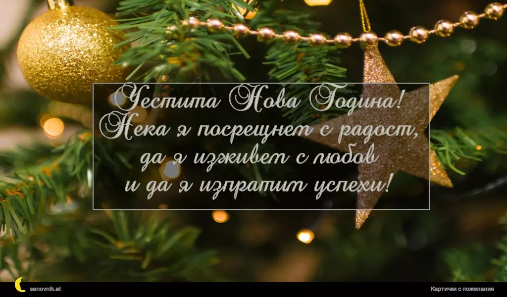 Честита Нова Година!
Нека я посрещнем с радост,
да я изживем с любов
и да я изпратим успехи!