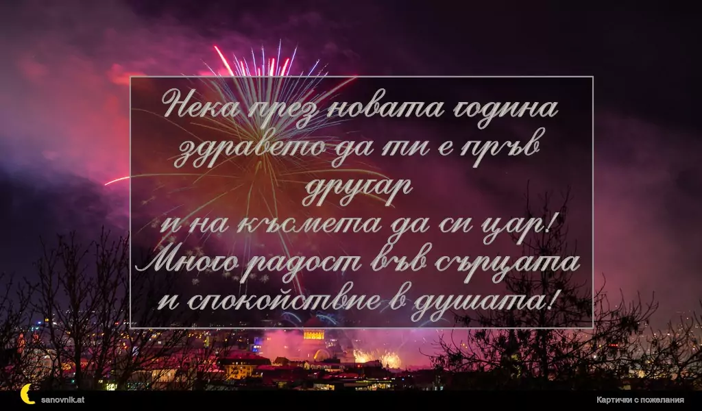 Нека през новата година
здравето да ти е пръв другар
и на късмета да си цар!
Много радост във сърцата
и спокойствие в душата!