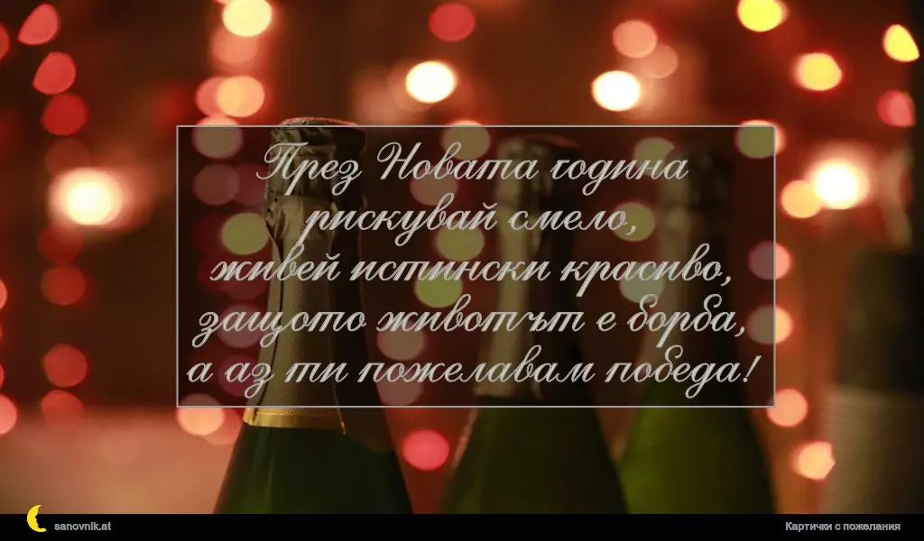 През Новата година рискувай смело,
живей истински красиво,
защото животът е борба,
а аз ти пожелавам победа!