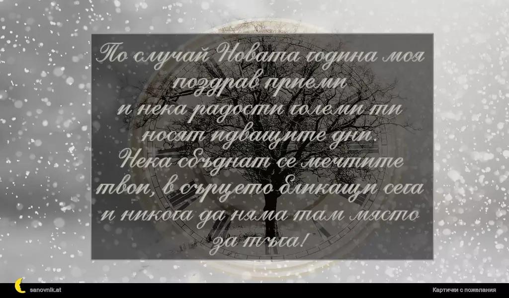 По случай Новата година моя поздрав приеми
и нека радости големи ти носят идващите дни.
Нека сбъднат се мечтите твои, в сърцето бликащи сега
и никога да няма там място за тъга!