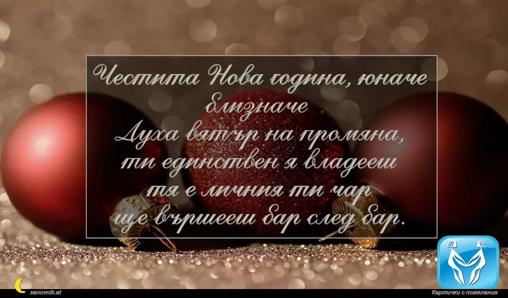 Пожелание за Нова Година по зодии Близнак