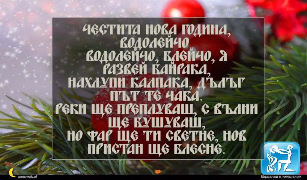 Пожелание за Нова Година по зодии Водолей