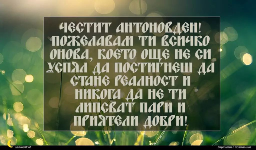 Пожелание за Антоновден 10