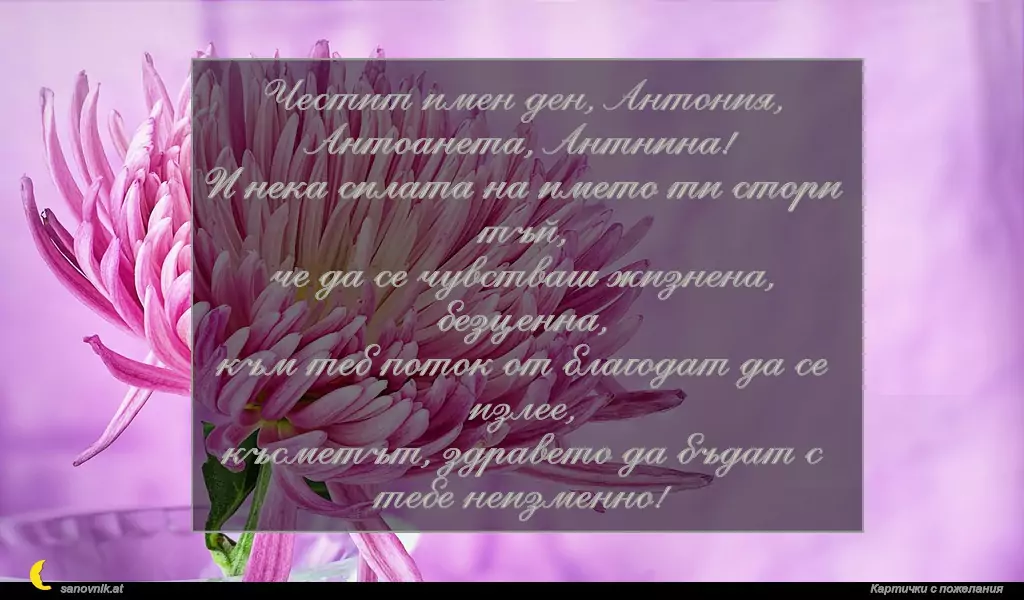 Пожелание за Антоновден 13