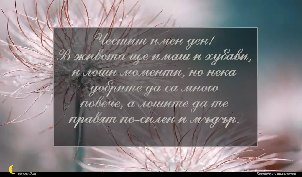 Пожелание за Антоновден 14