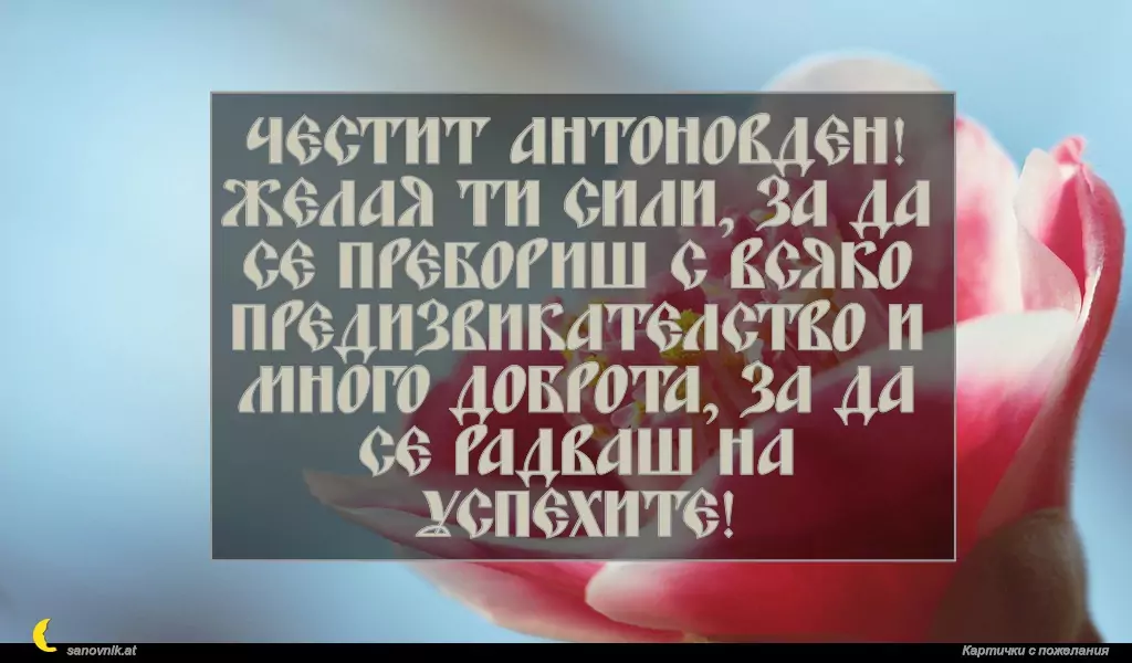 Пожелание за Антоновден 3