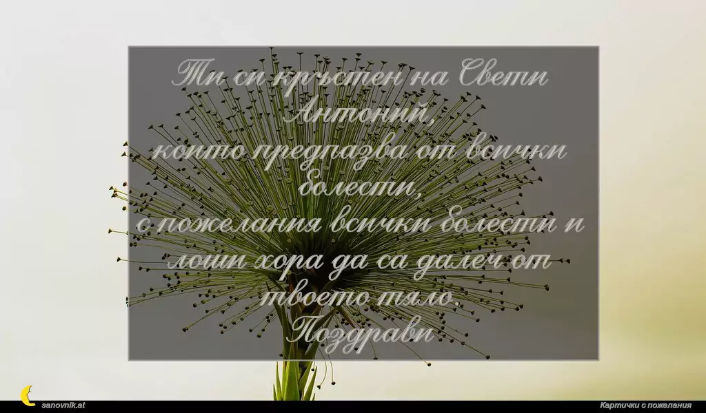 Пожелание за Антоновден 7