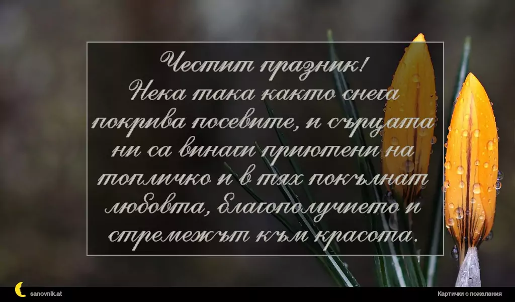 Пожелание за Йордановден 3