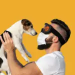 Могат ли кучетата да надушат заразените от коронавирус?