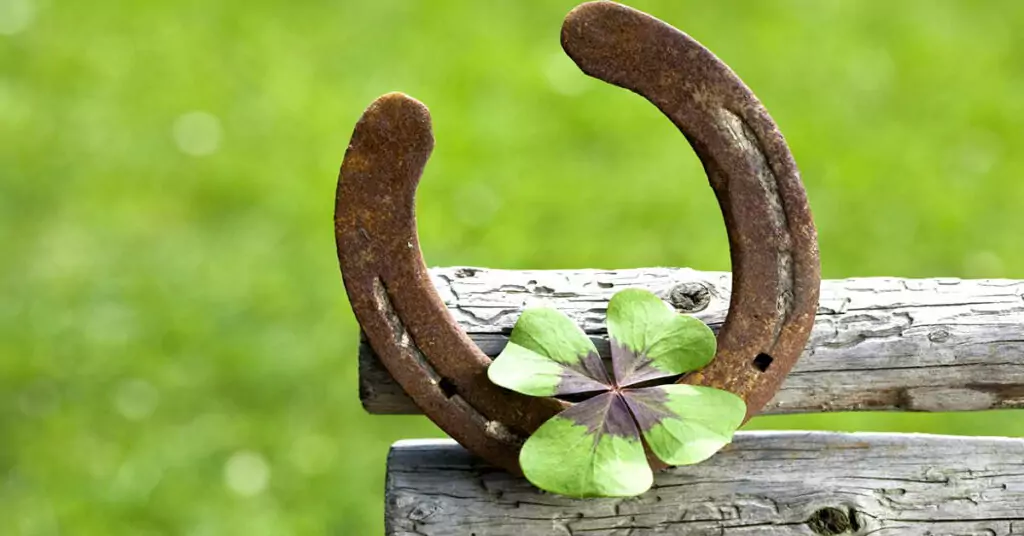 Подкова Подкова