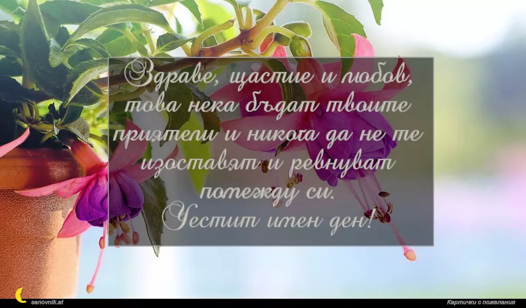 Пожелание за св. Нина 5