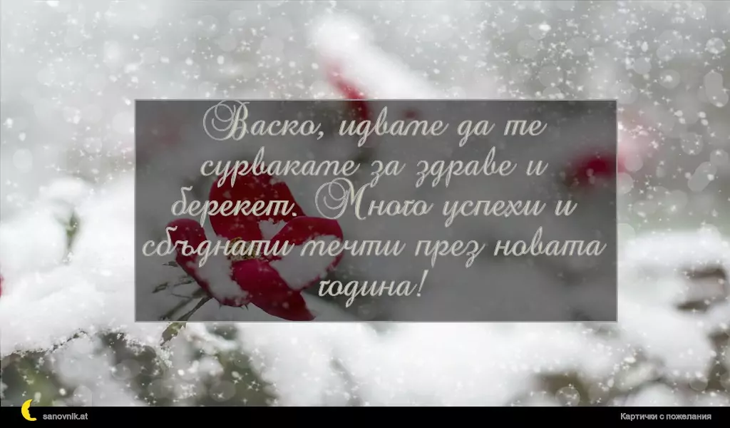 Пожелание за Васильовден 10