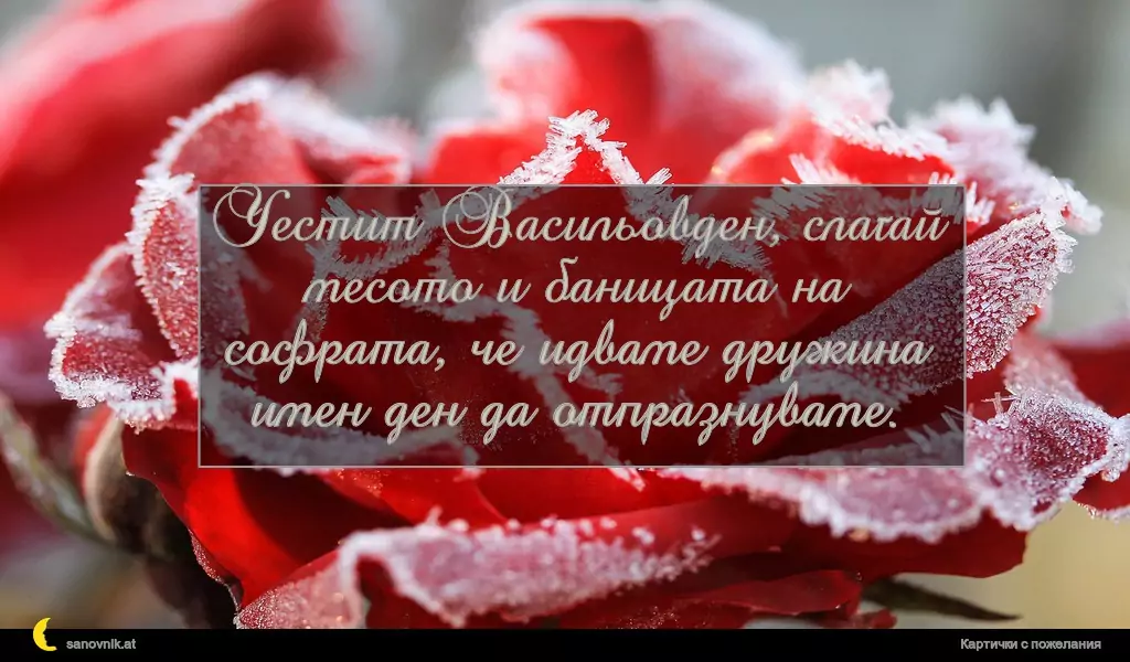 Пожелание за Васильовден 13