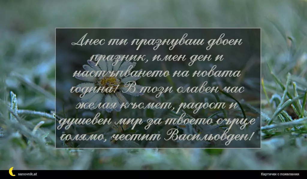 Пожелание за Васильовден 4