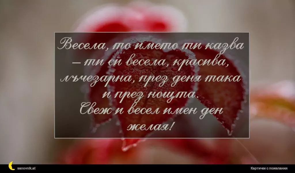 Пожелание за Васильовден 9