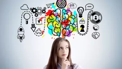 паметта на мозъка