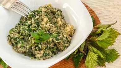 коприва с киноа