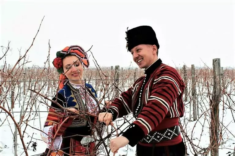 Тълкуване на сън за Лозя
