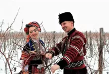 лозя