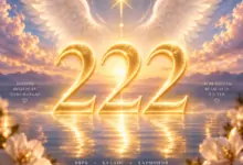 Значението на числото 222: Нумерология, ангелски числа и символика
