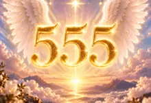 Ангелско число 555