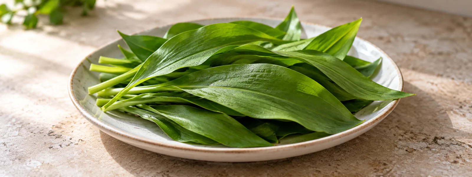 Пресни листа леворда