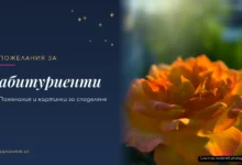 Пожелания за абитуриенти