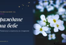 Пожелания за раждане на бебе