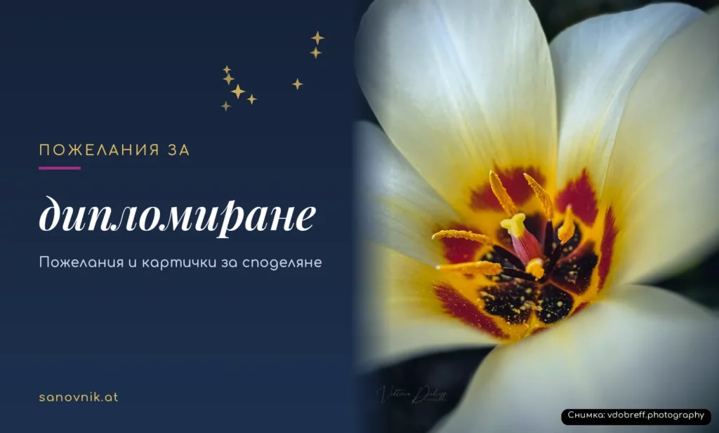 Пожелания за дипломиране