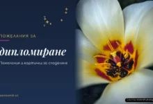 Пожелания за дипломиране